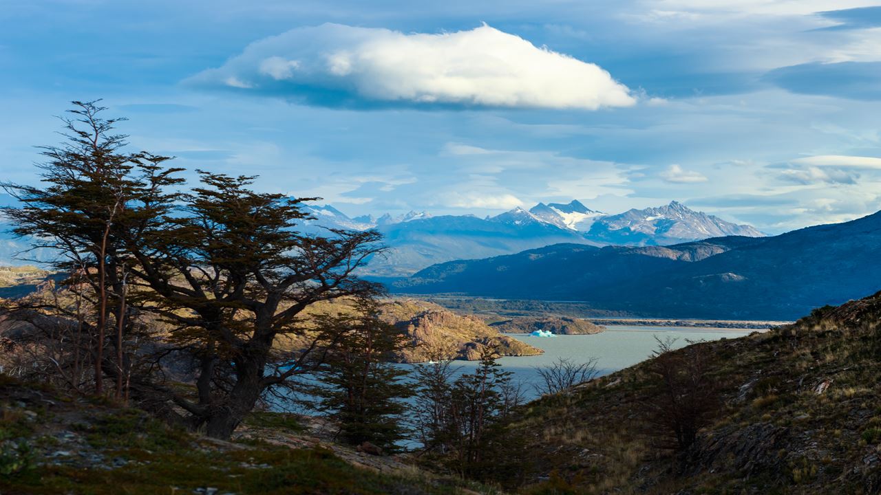 Safari Fotografico En Torres Del Paine foto 13