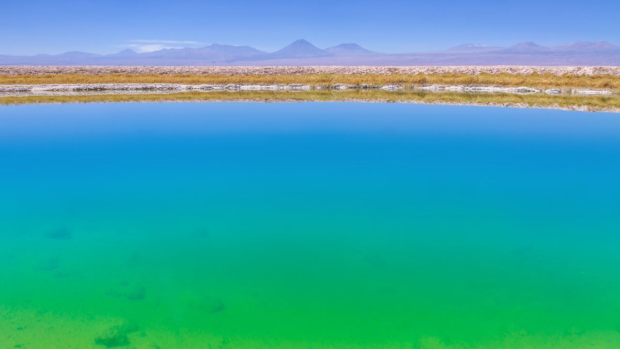 Salar De Atacama & Poblado De Toconao (3)