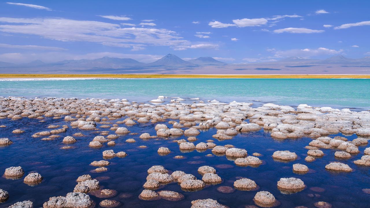 Salar De Atacama & Poblado De Toconao (2)