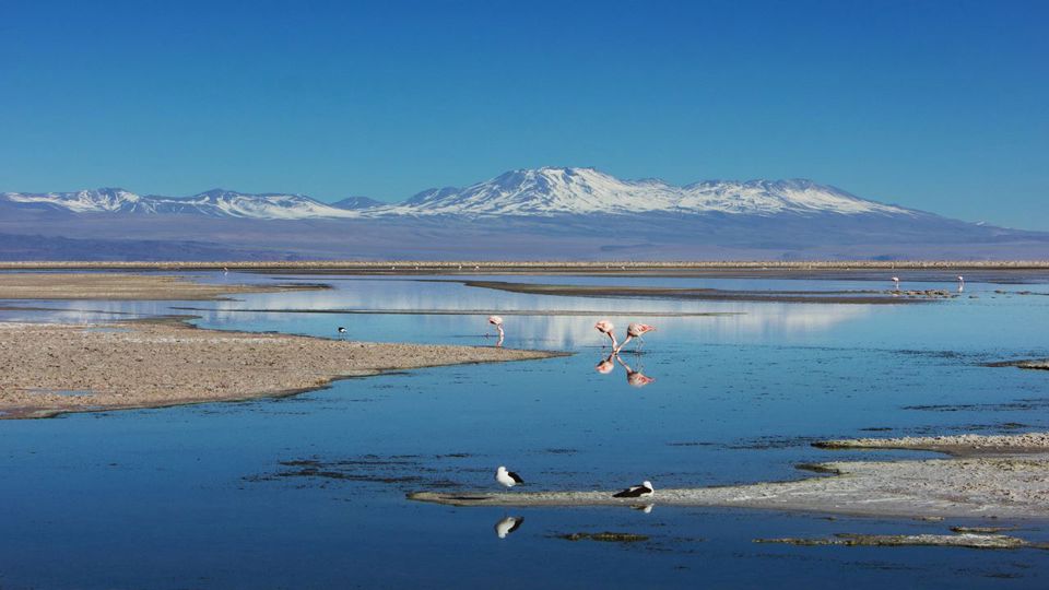 Atacama Salt Flats Toconao Village foto 7