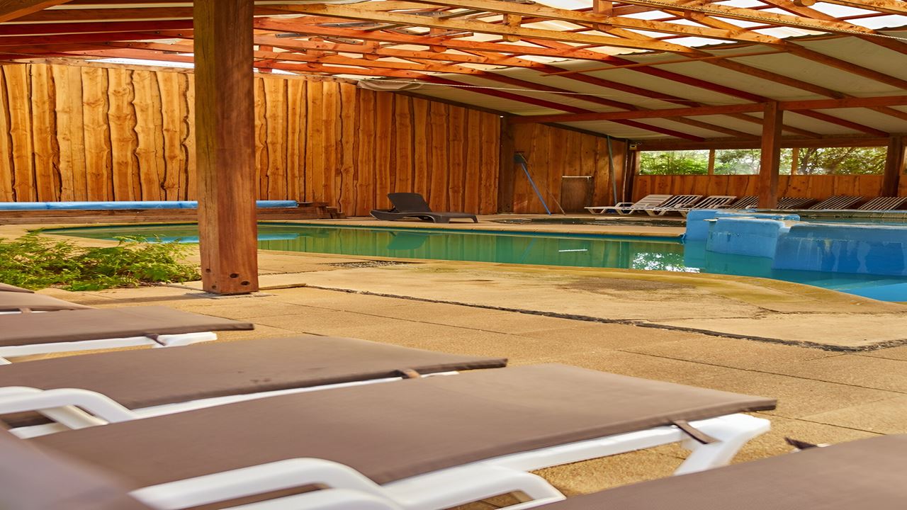 Termas De Llifen Desde Valdivia Un Oasis Natural foto 6