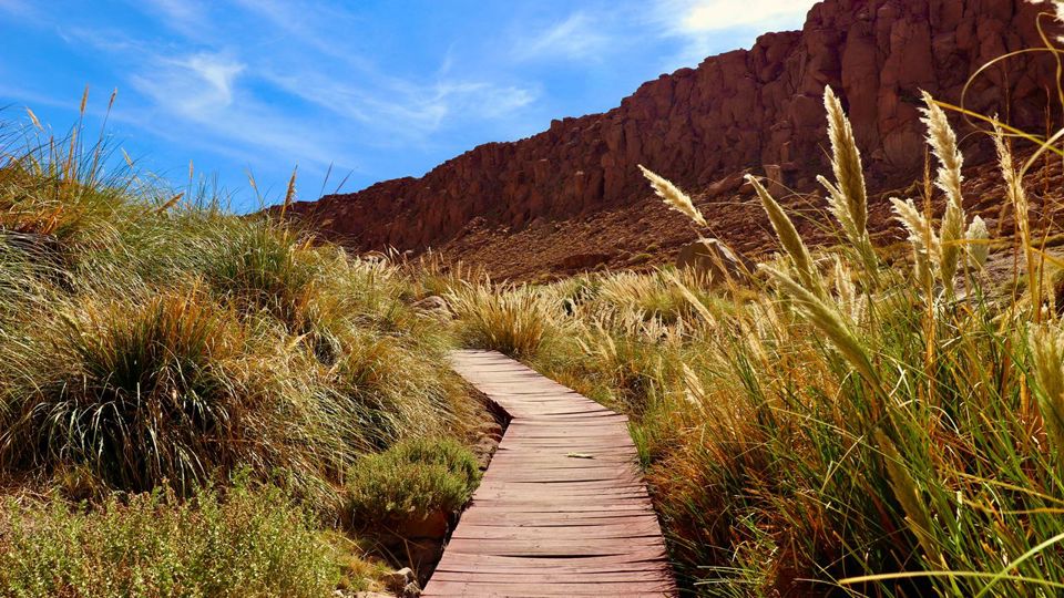 Puritama Hot Springs foto 3