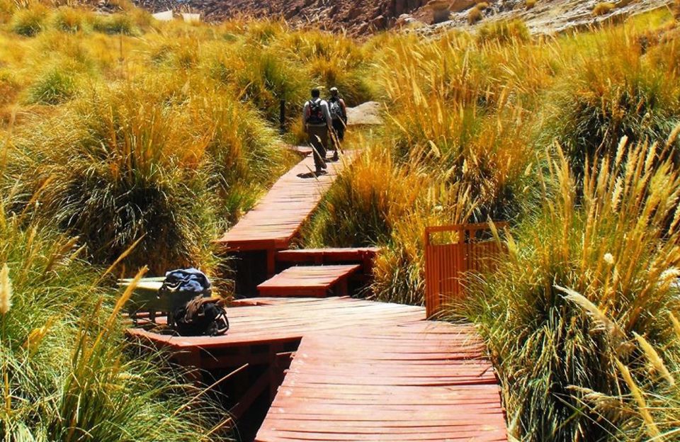 Puritama Hot Springs foto 5