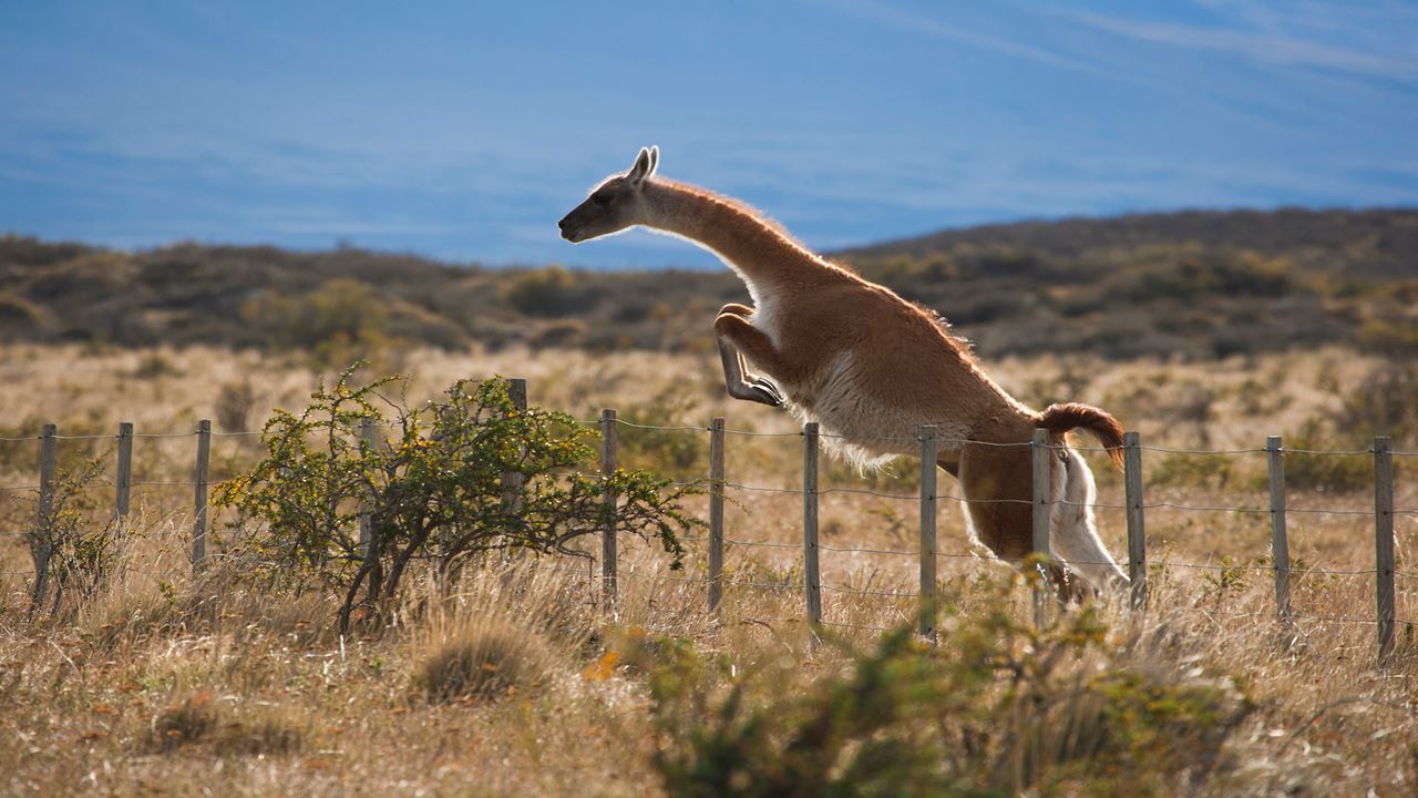 Alternative W Self-guided Tour 5 Days And 4 Nights - Camping
 foto 5