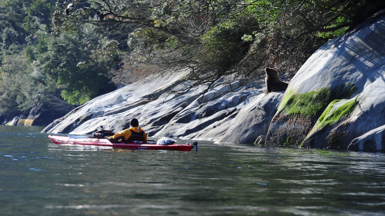 Discover Reloncavi, Kayaking In Chile`s First Fjord foto 10