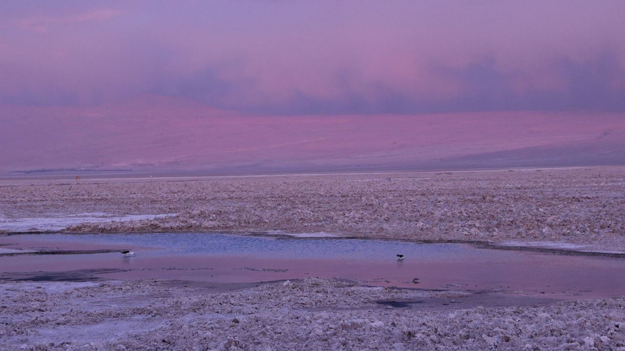 Lo Mejor De Santiago, La Serena Y San Pedro De Atacama foto 11