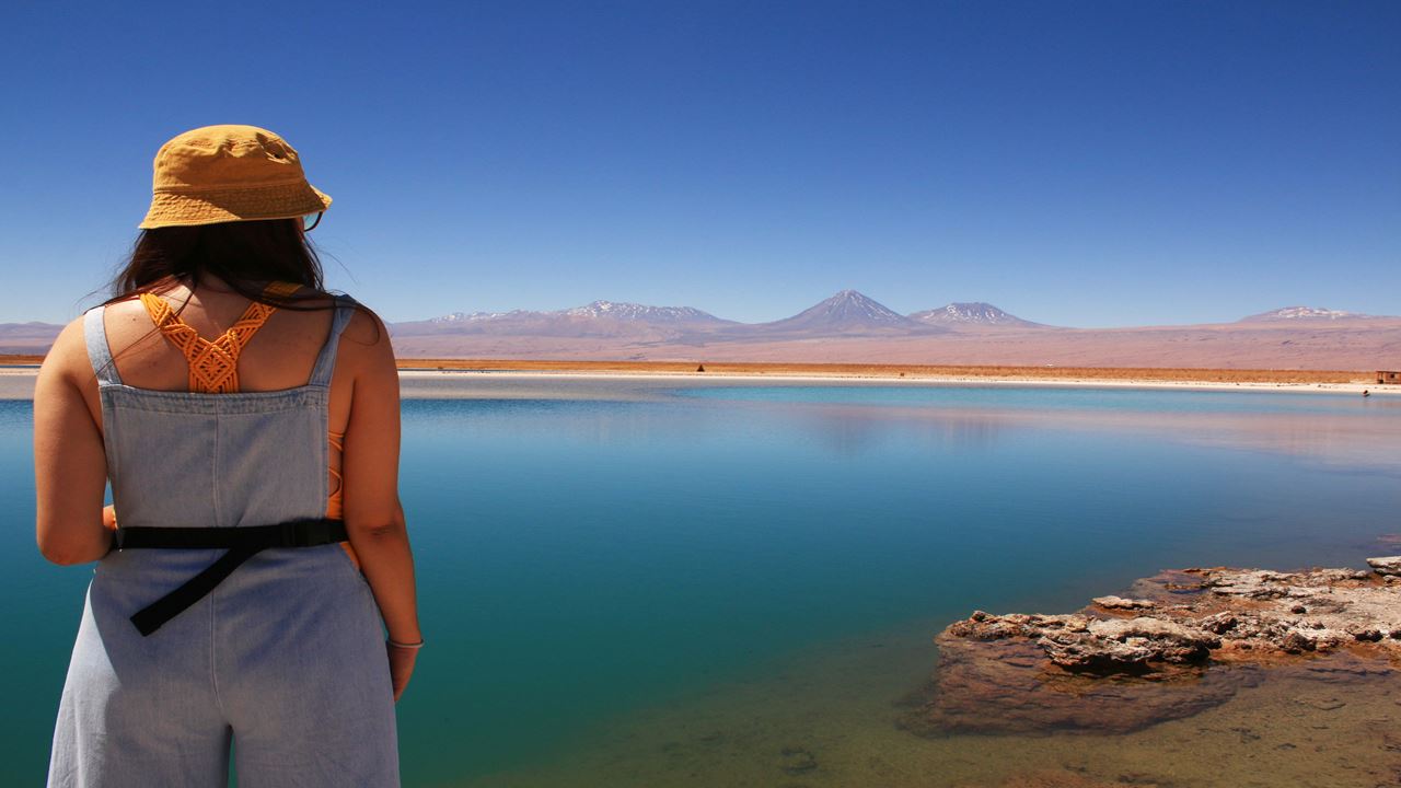 Lo Mejor De Santiago, La Serena Y San Pedro De Atacama foto 6