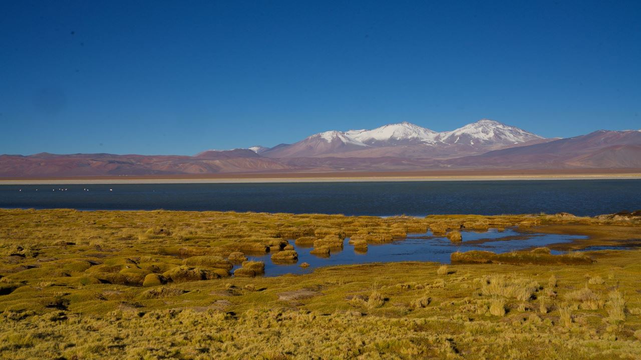 Lo Mejor De Santiago, La Serena Y San Pedro De Atacama foto 9
