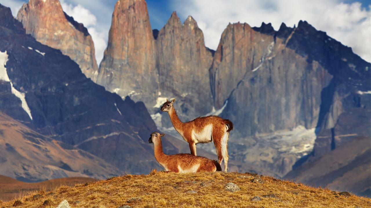 Glaciares De La Patagonia foto 2