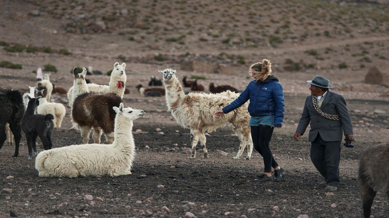 Geysers De Rota De Puchuldiza E Altiplanica foto 4