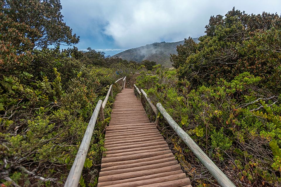 Trekking Im Nationalpark Fray Jorge – Natur- Und Kulturwunder foto 11