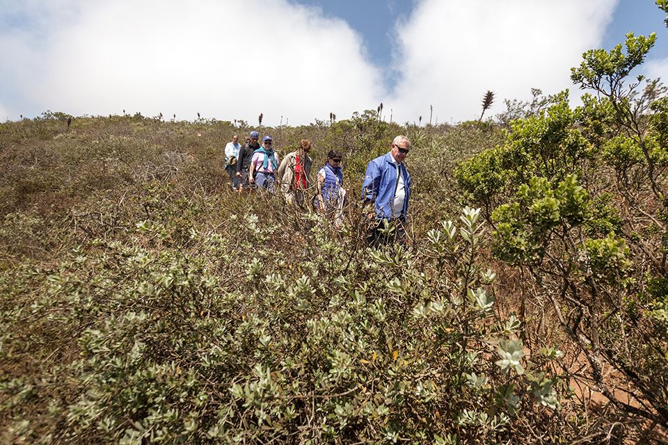Trekking Im Nationalpark Fray Jorge – Natur- Und Kulturwunder foto 7