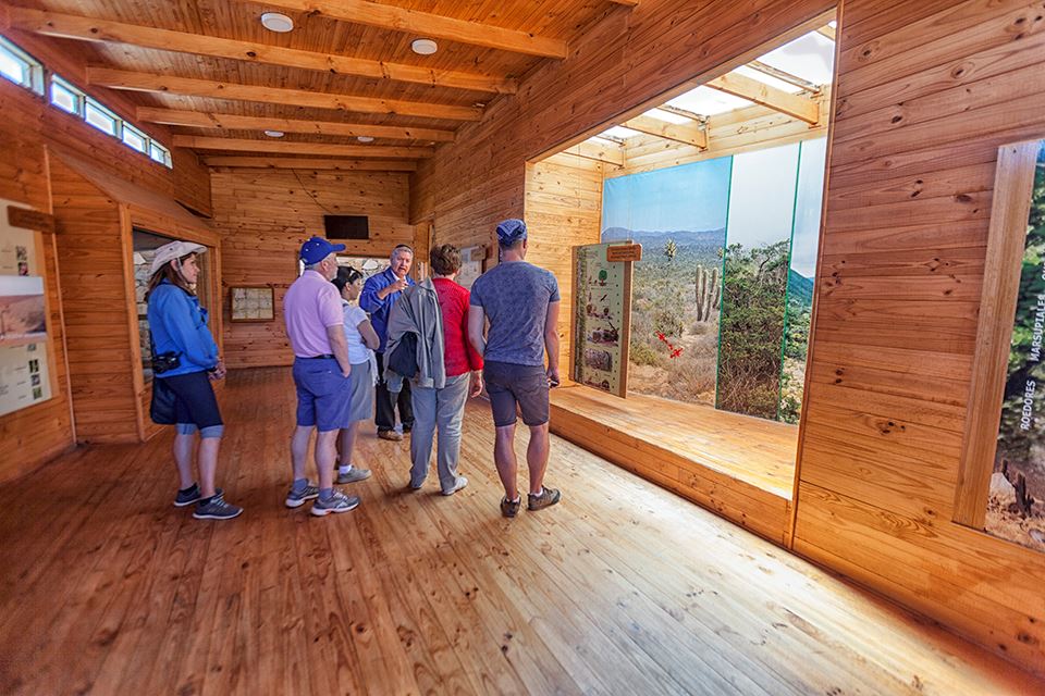 Trekking Im Nationalpark Fray Jorge – Natur- Und Kulturwunder foto 3