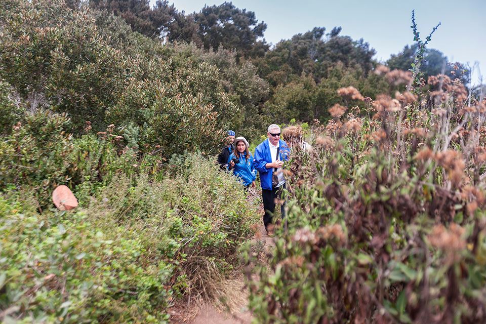 Trekking Im Nationalpark Fray Jorge – Natur- Und Kulturwunder foto 1