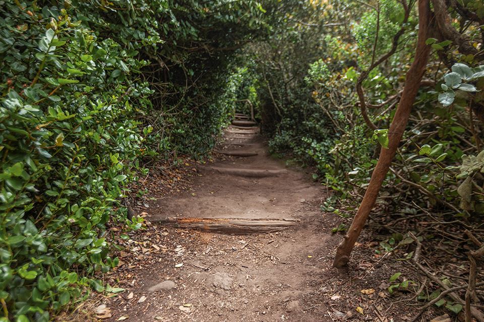 Trekking Im Nationalpark Fray Jorge – Natur- Und Kulturwunder foto 16