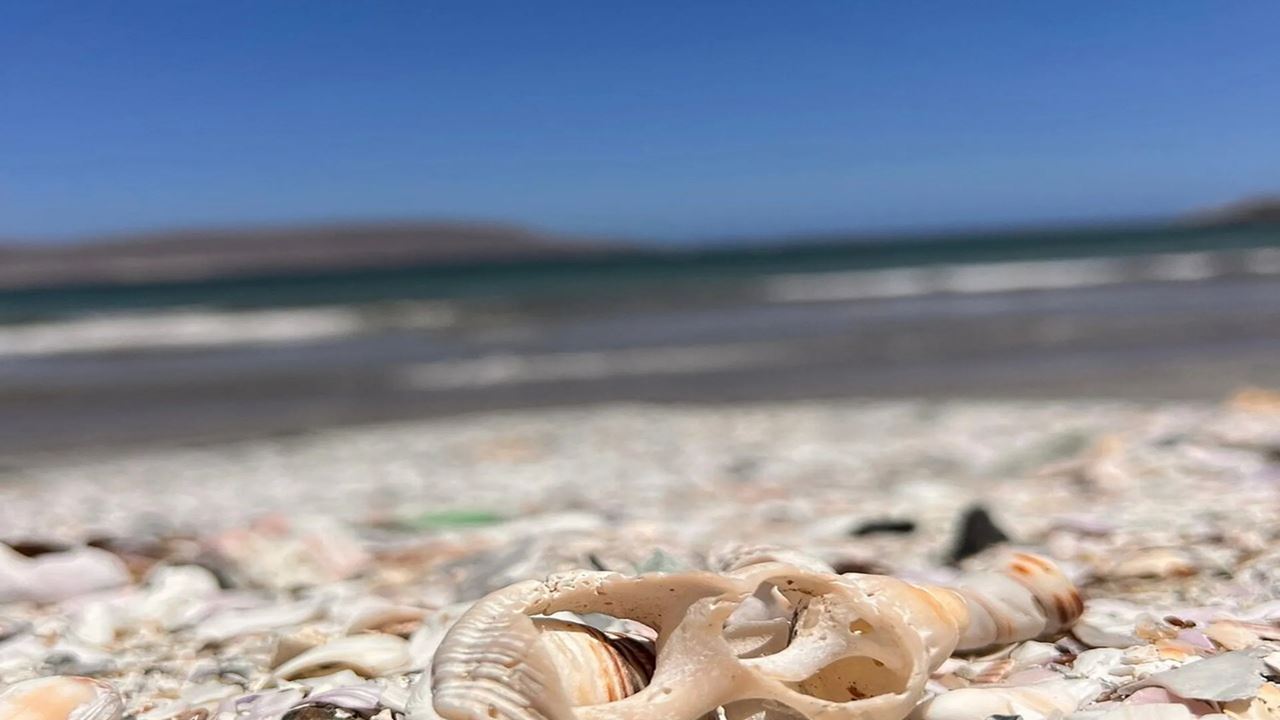 Excursión Por Las Playas, Cavernas Y Pictografías De Arica
 foto 1