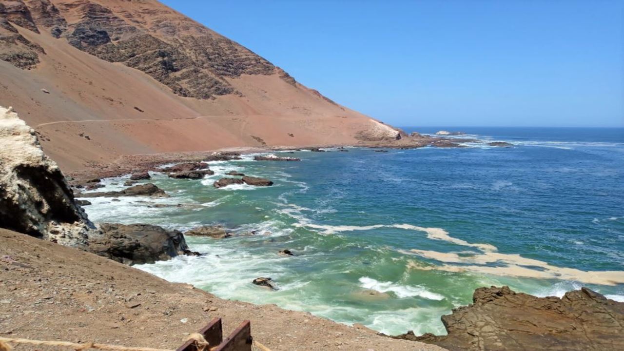 Excursión Por Las Playas, Cavernas Y Pictografías De Arica
 foto 6