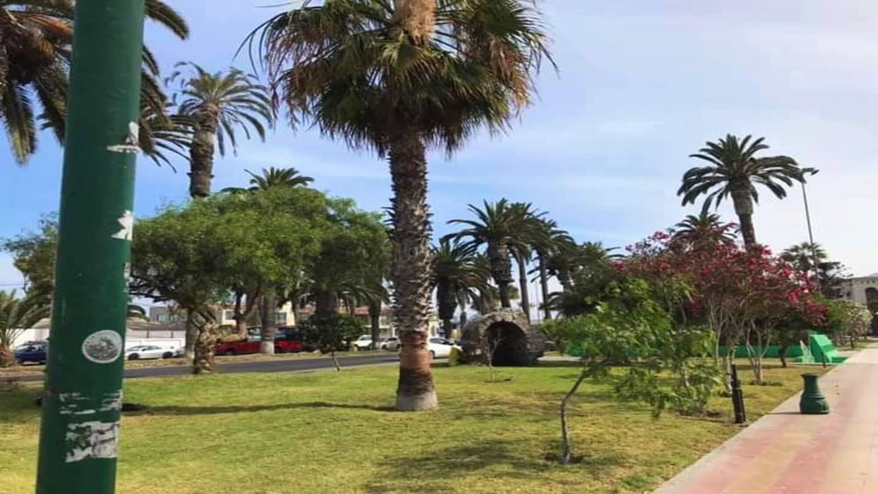 Excursión Por Las Playas, Cavernas Y Pictografías De Arica
 foto 8