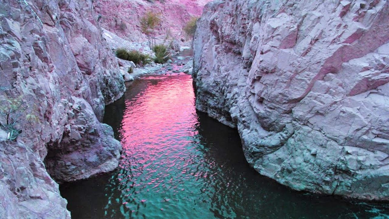 Excursion À L'oasis De Codpa, Aux Pétroglyphes De Guañacagua Et D'ofrajía foto 7