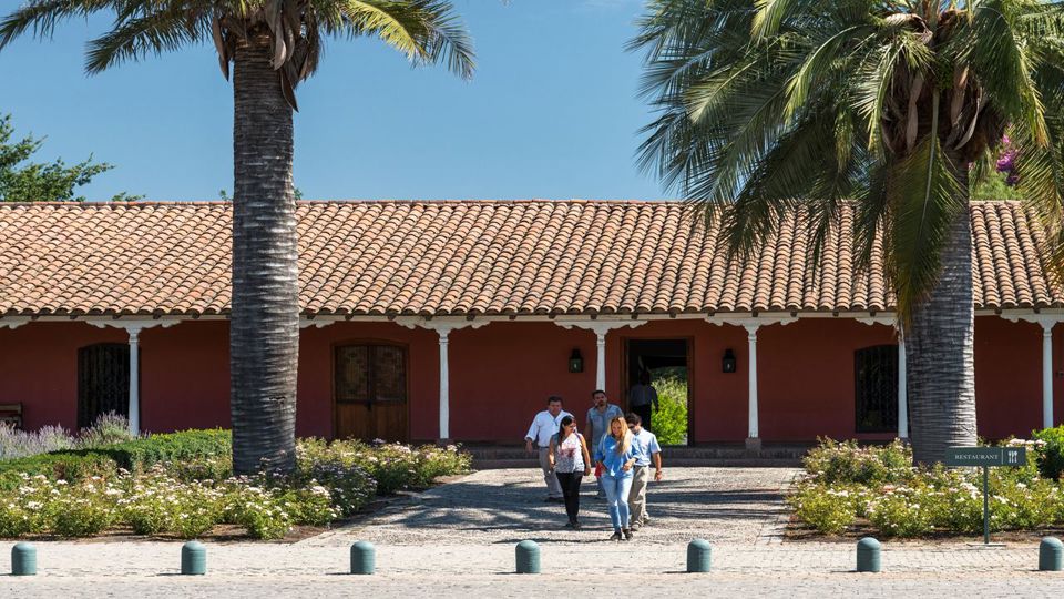 Tour To Santa Rita Vineyard From Santiago foto 6