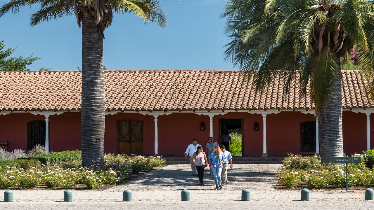 Tour To Santa Rita Vineyard From Santiago (5)
