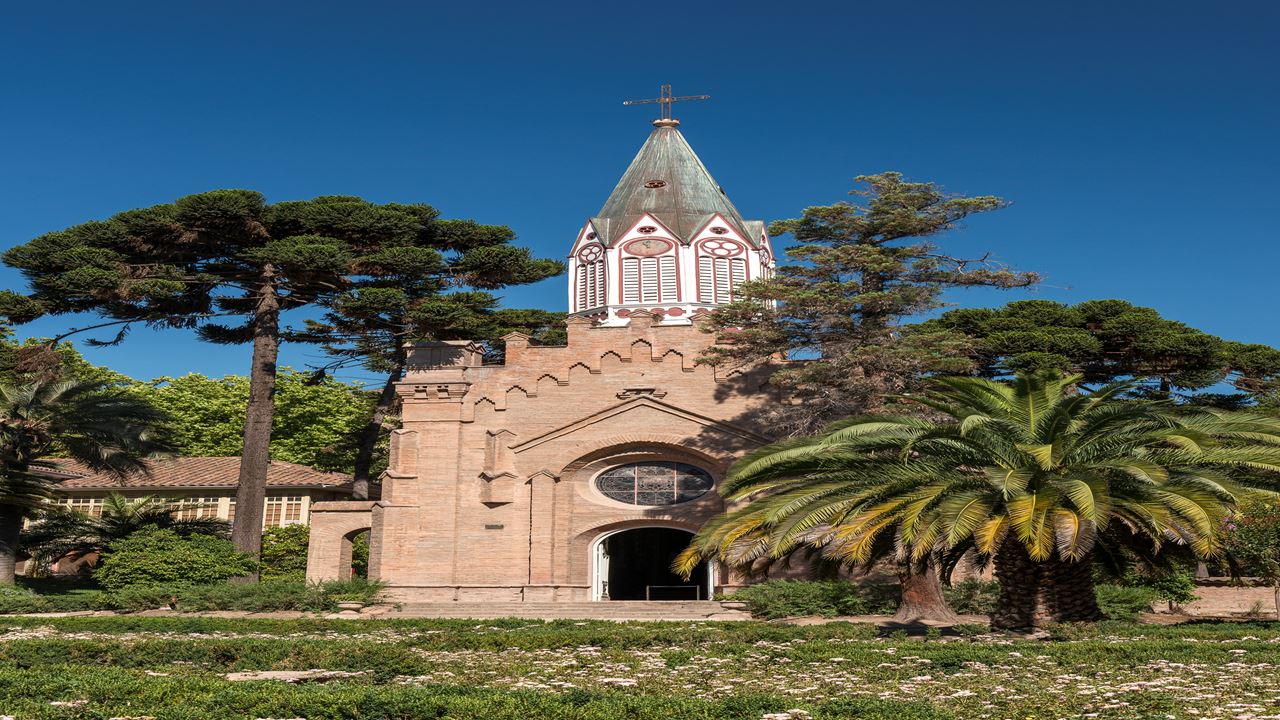 Tour To Santa Rita Vineyard From Santiago (10)