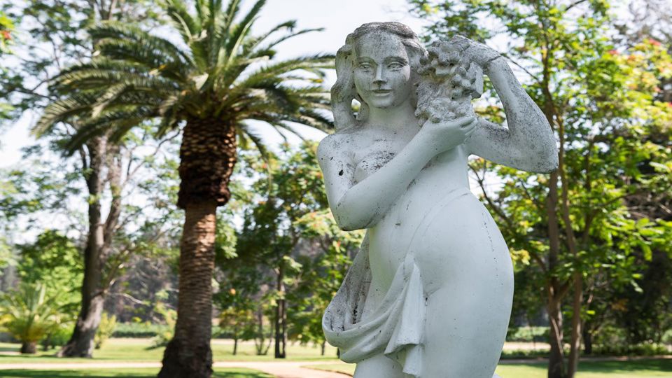 Tour To Santa Rita Vineyard From Santiago foto 3