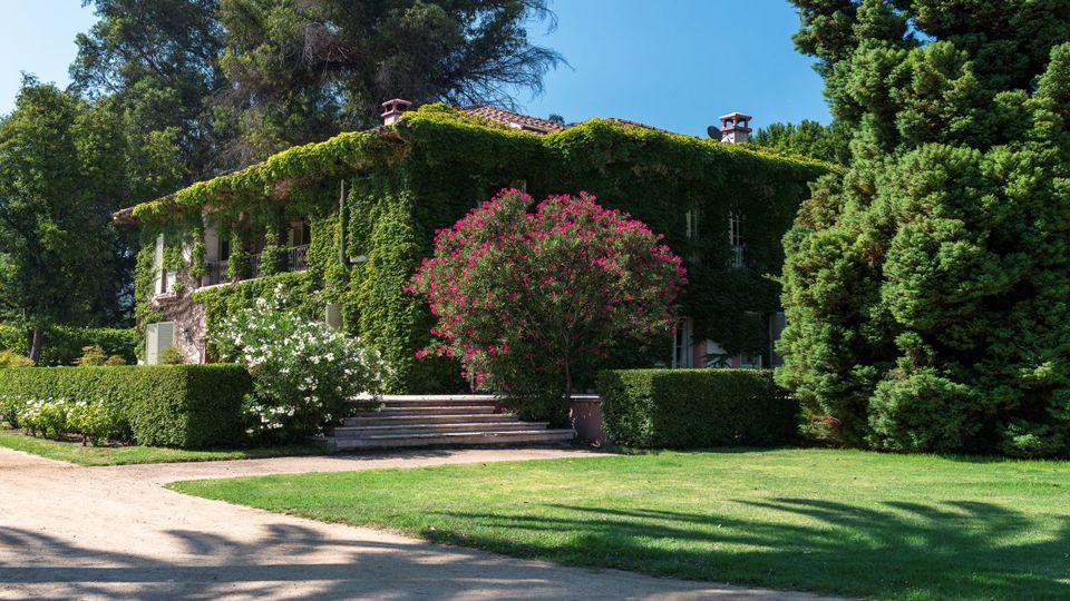 Tour To Santa Rita Vineyard From Santiago foto 2