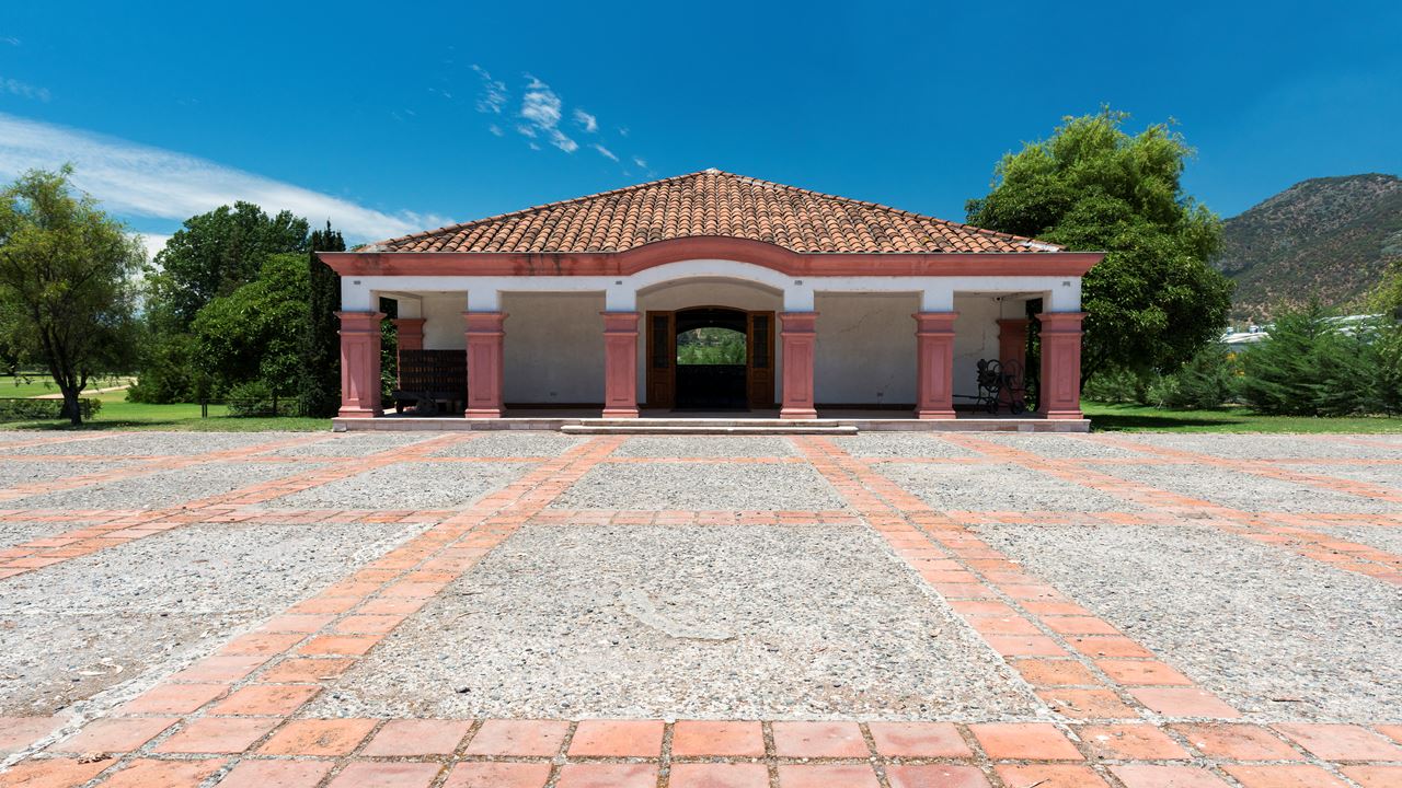 Tour To Santa Rita Vineyard From Santiago (3)
