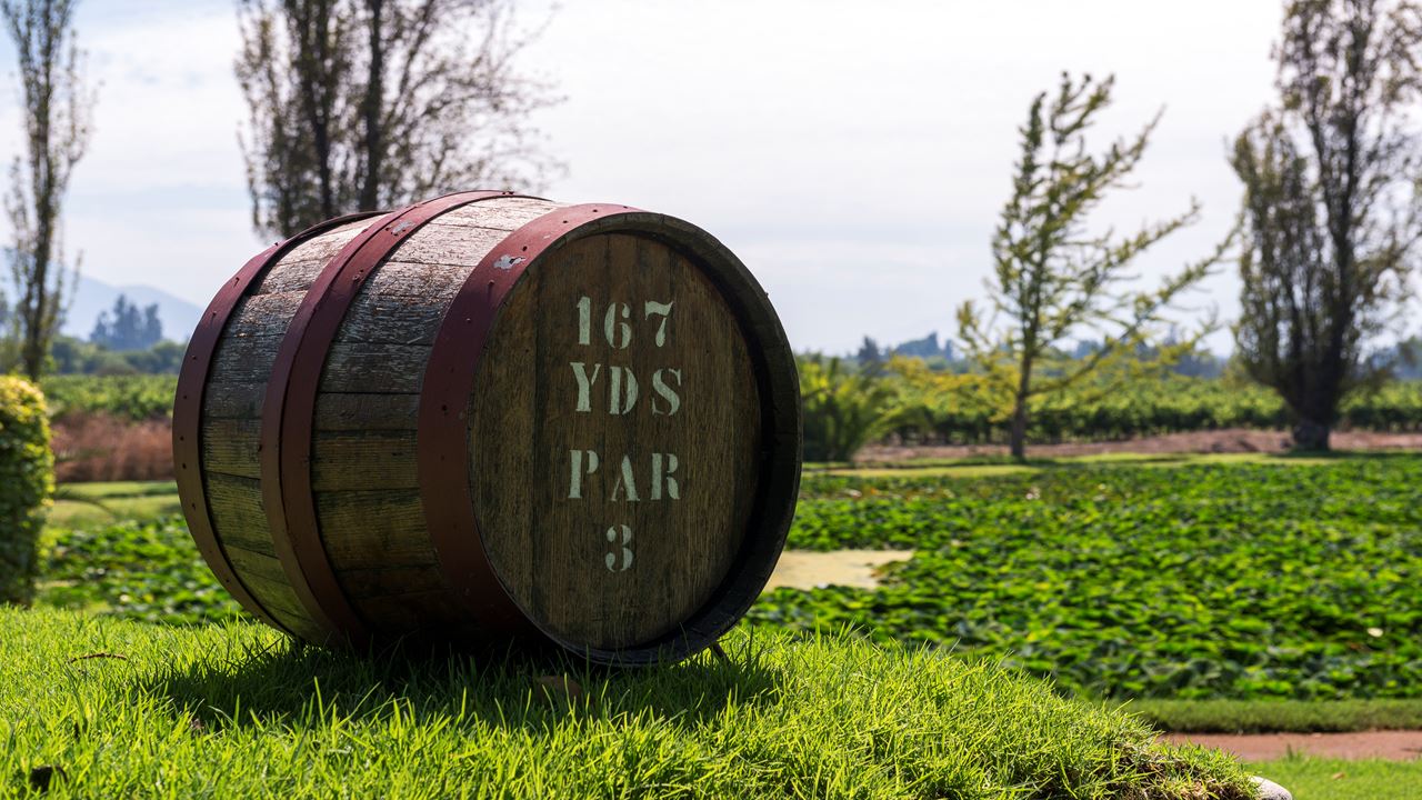 Tour To Santa Rita Vineyard From Santiago (0)