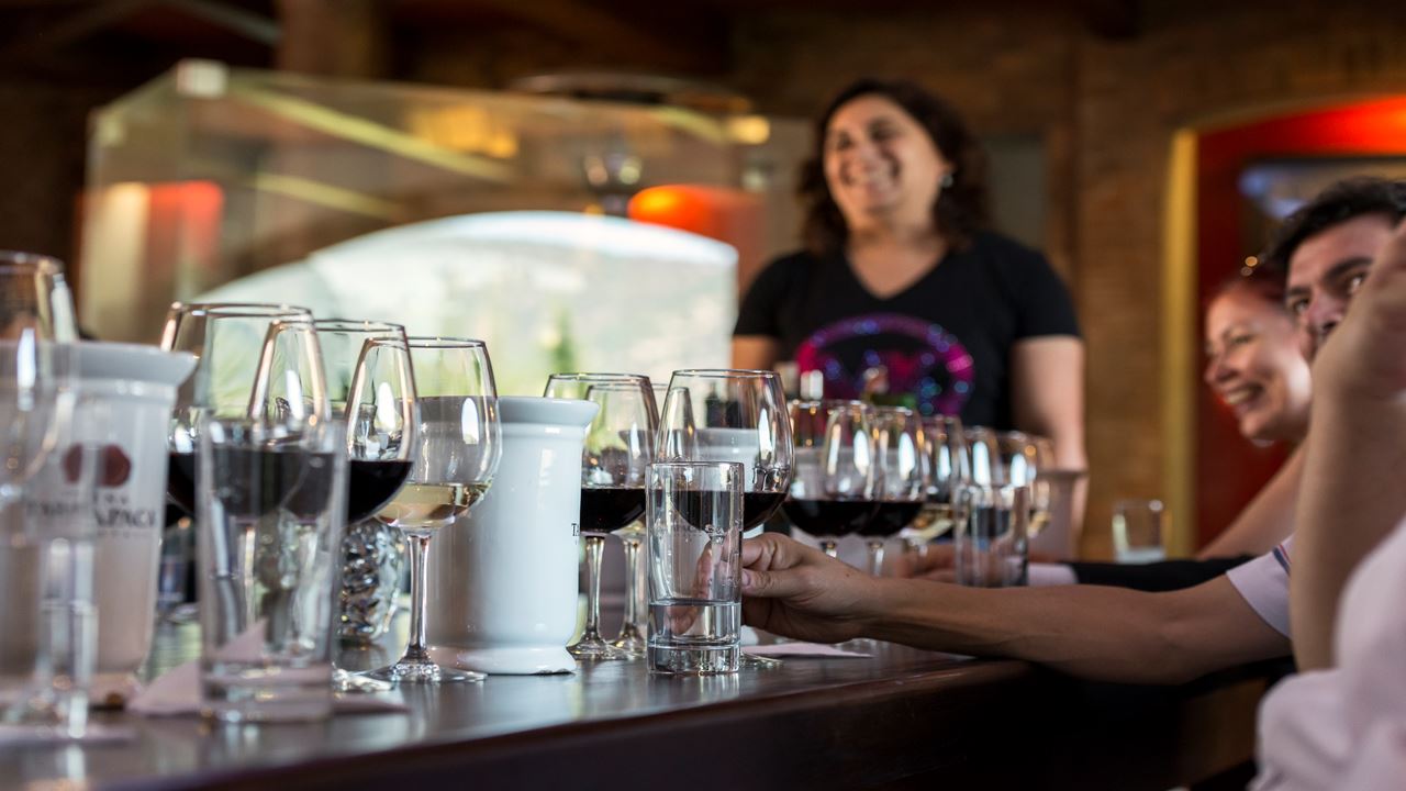 Tour To Santa Rita Vineyard From Santiago (11)
