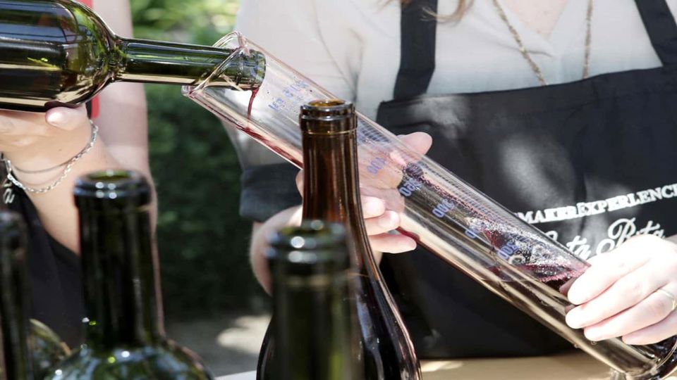 Tour To Santa Rita Vineyard From Santiago foto 15