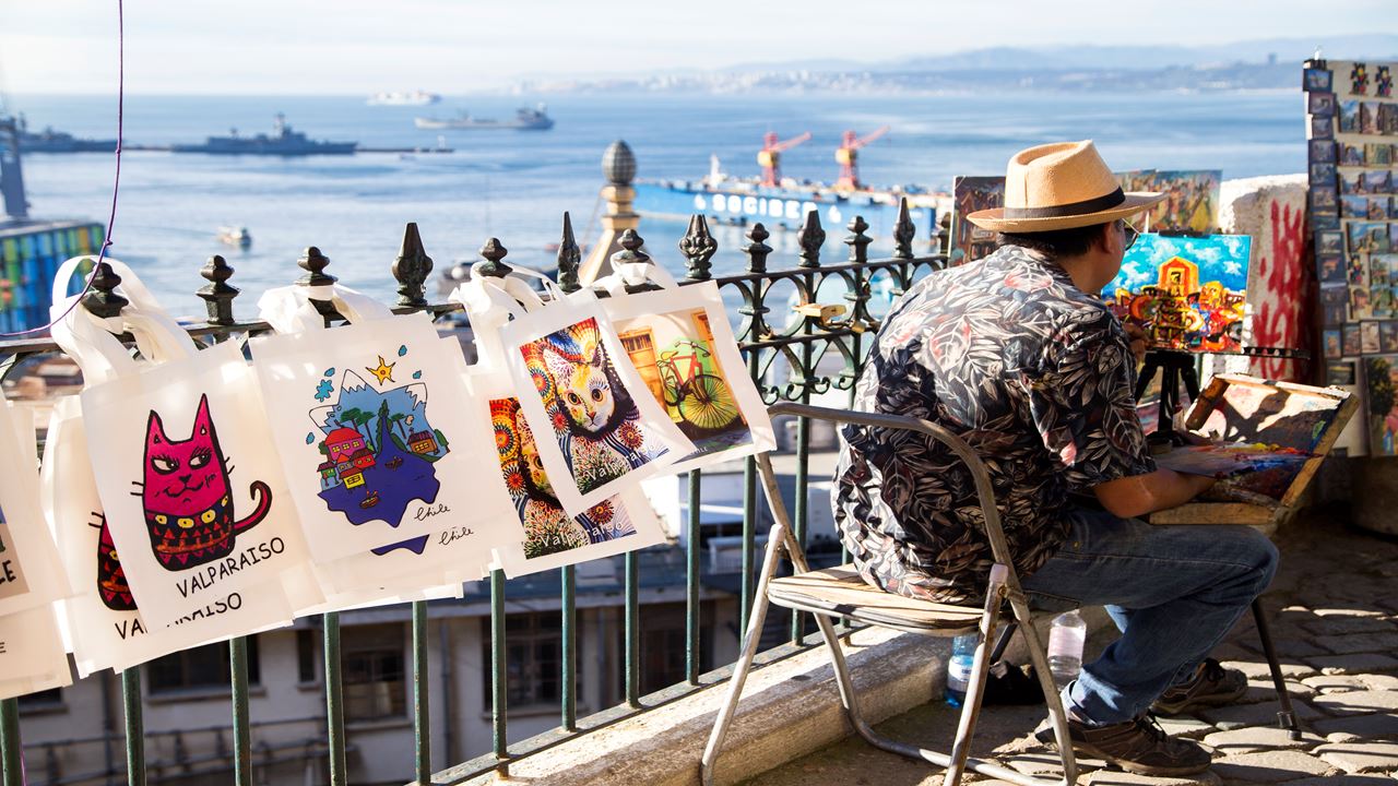 Tour To Valparaíso And Viña Del Mar. (6)