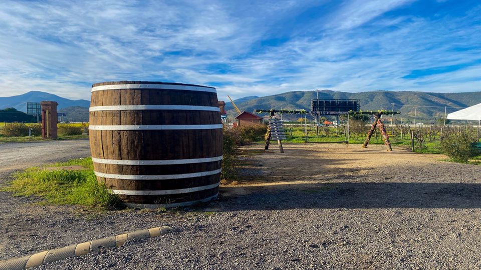 Tour To Valparaíso And Viña Del Mar. foto 31