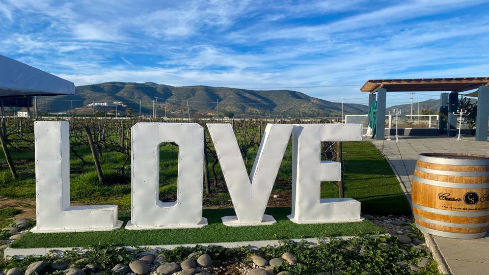 Tour To Valparaíso And Viña Del Mar. foto 32