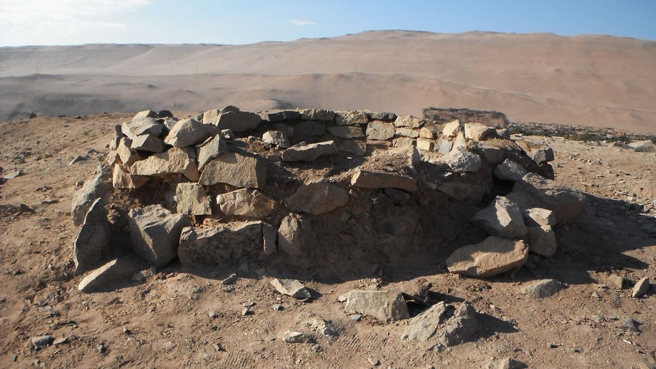 Tour Arqueologico Al Valle De Azapa foto 1