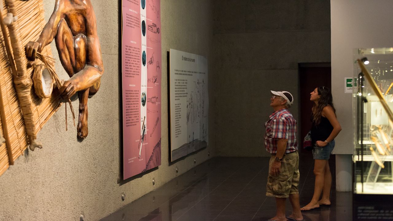 Tour Arqueologico Al Valle De Azapa foto 5