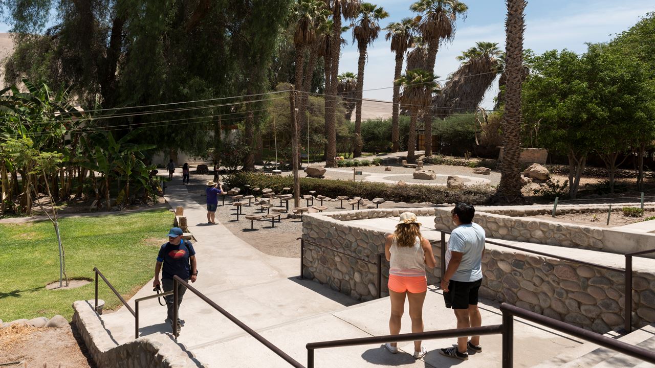 Tour Arqueologico Al Valle De Azapa foto 8