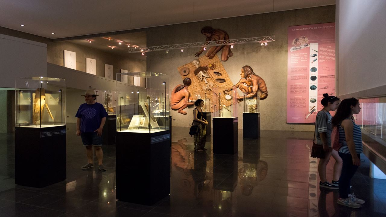 Tour Arqueologico Al Valle De Azapa foto 3