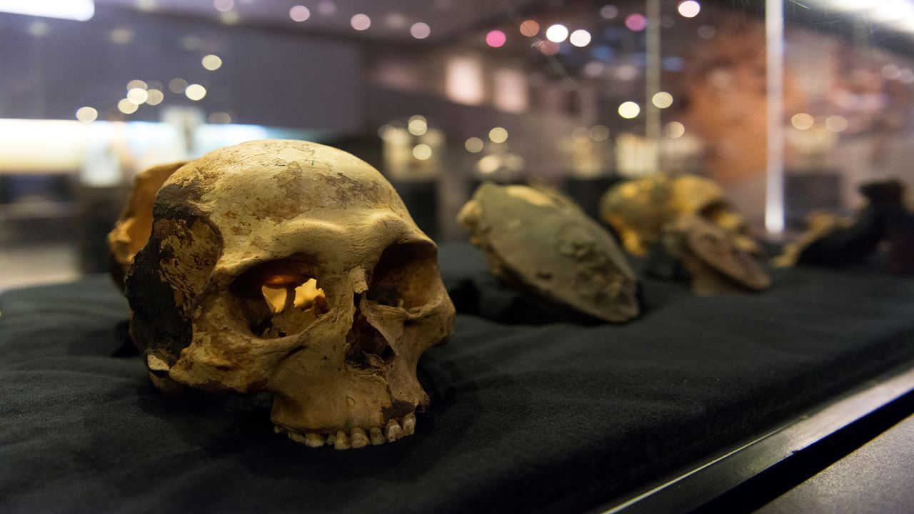 Tour Arqueologico Al Valle De Azapa foto 10