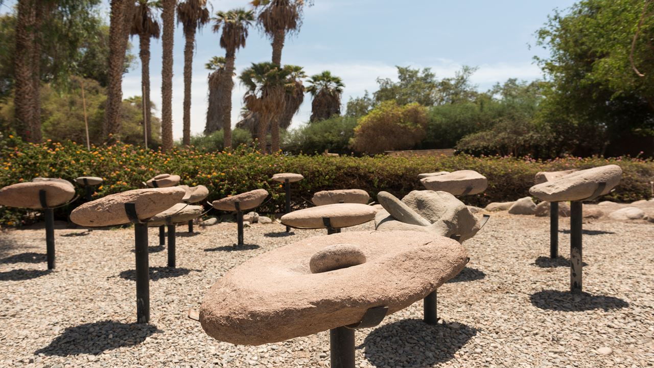 Tour Arqueologico Al Valle De Azapa foto 6