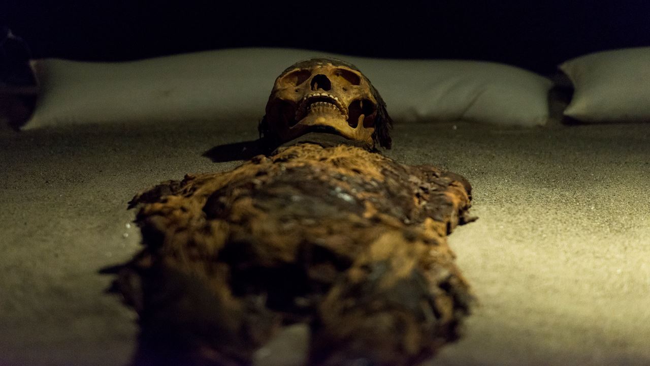 Tour Arqueologico Al Valle De Azapa foto 4