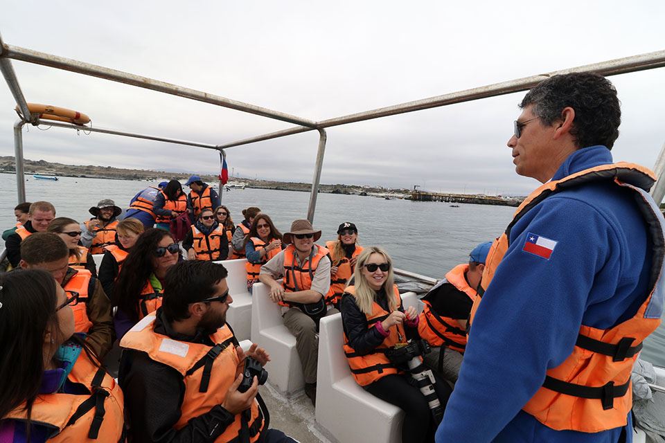 Damas Island Tour Penguin Watching foto 23