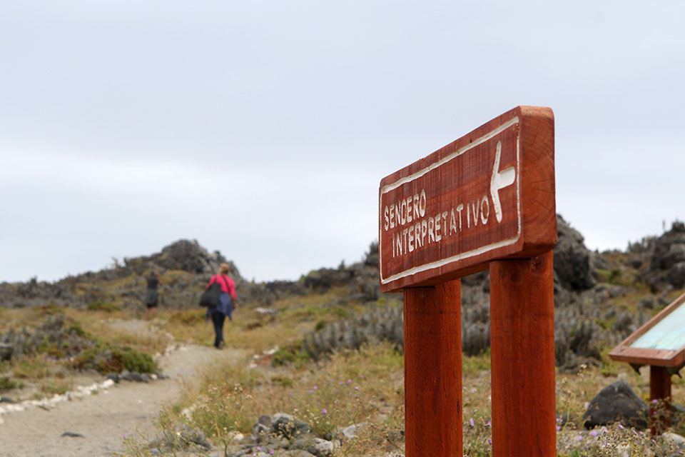 Damas Island Tour Penguin Watching foto 13