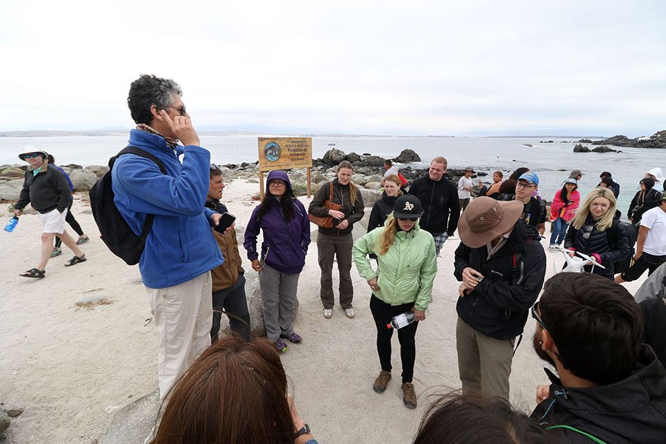 Damas Island Tour Penguin Watching foto 14