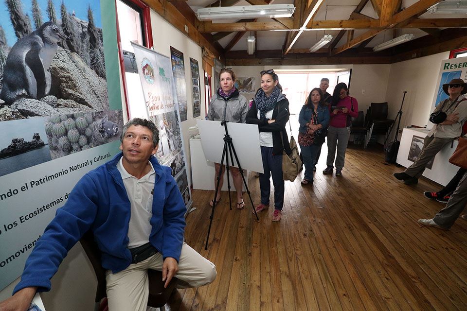 Damas Island Tour Penguin Watching foto 22