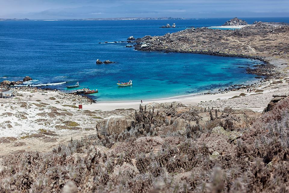 Damas Island Tour Penguin Watching foto 21