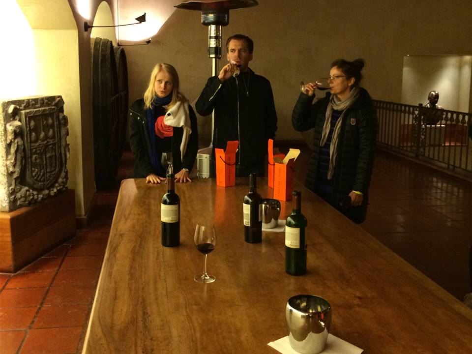Tour And Tasting At Concha Y Toro Vineyard (8)