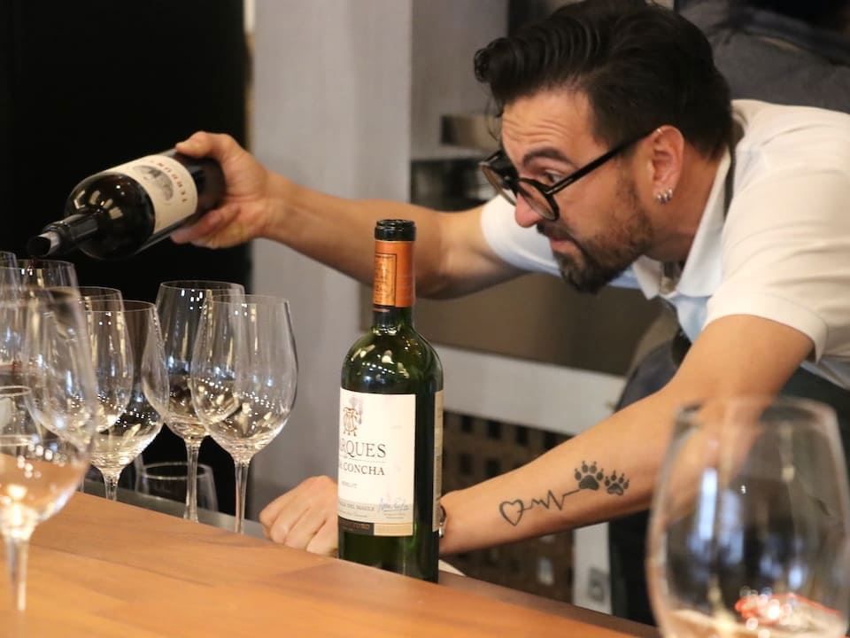 Tour And Tasting At Concha Y Toro Vineyard foto 8