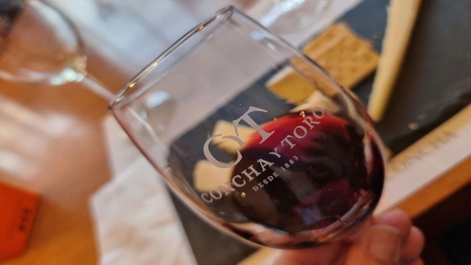 Tour And Tasting At Concha Y Toro Vineyard foto 6